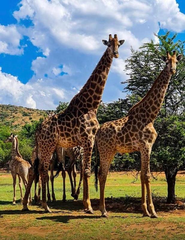 0 Bedroom Property for Sale in Broederstroom North West